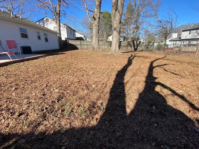 Lawn care project 64