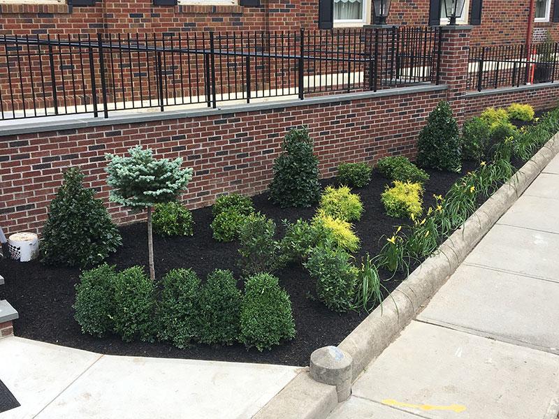 Lawn care project 15