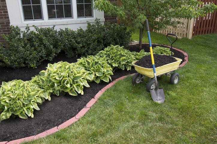 Lawn care project 18