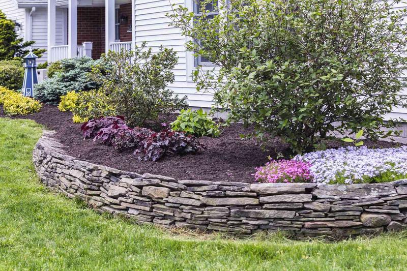 Lawn care project 19