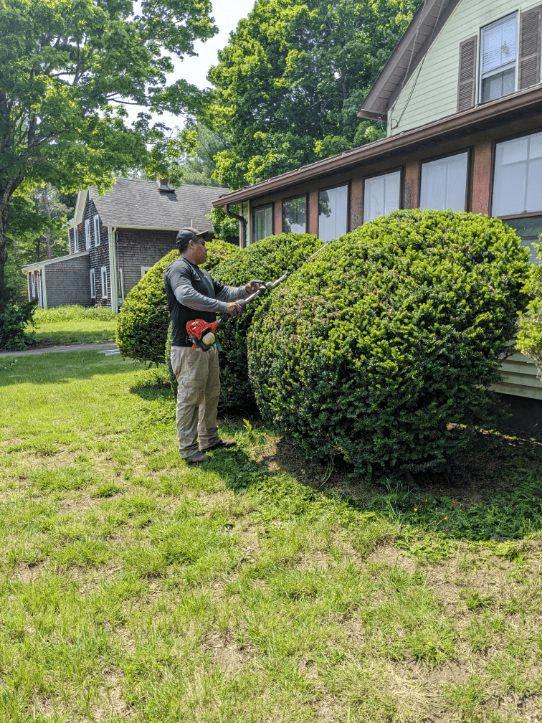 Lawn care project 2