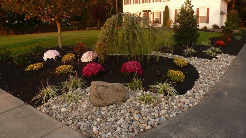 Lawn care project 24