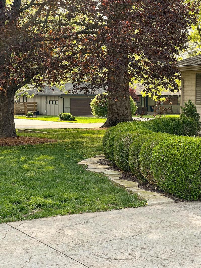 Lawn care project 34