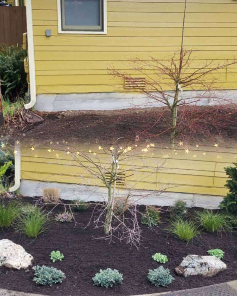 Lawn care project 4