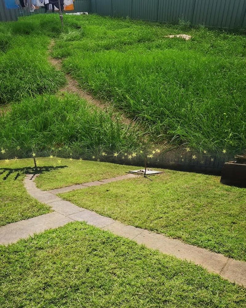 Lawn care project 5