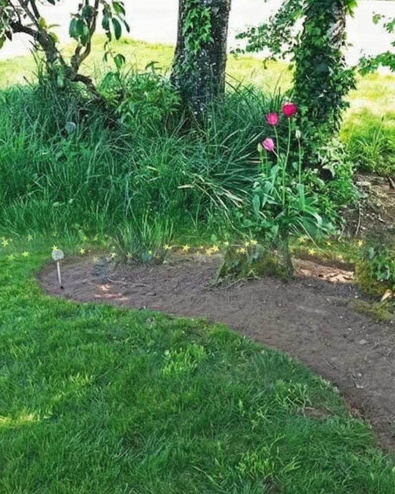 Lawn care project 6