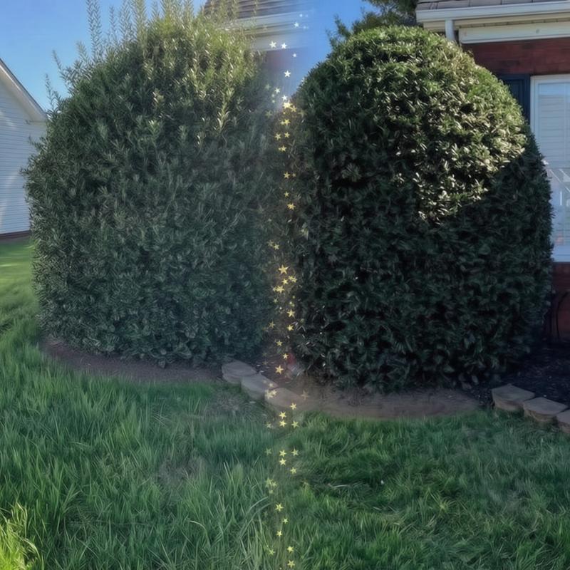 Lawn care project 7