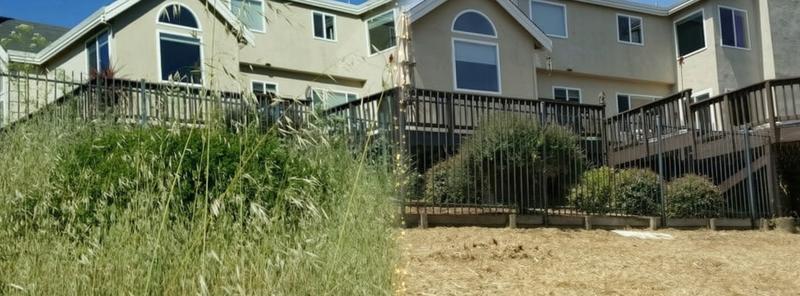 Lawn care project 8