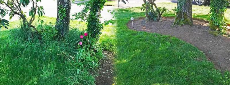 Lawn care project 9