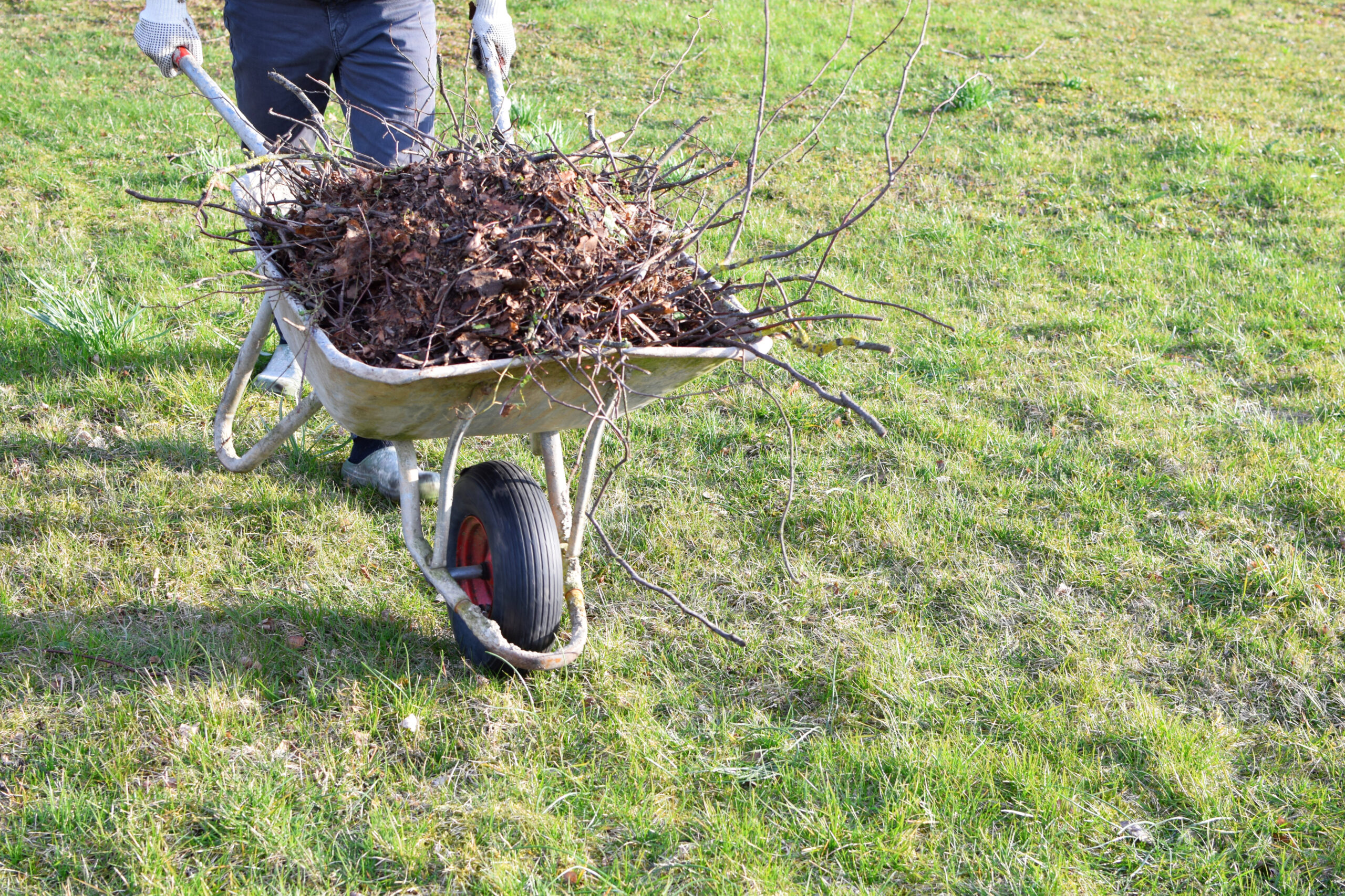Property Cleanups
