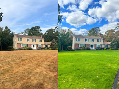 Sod Installation
